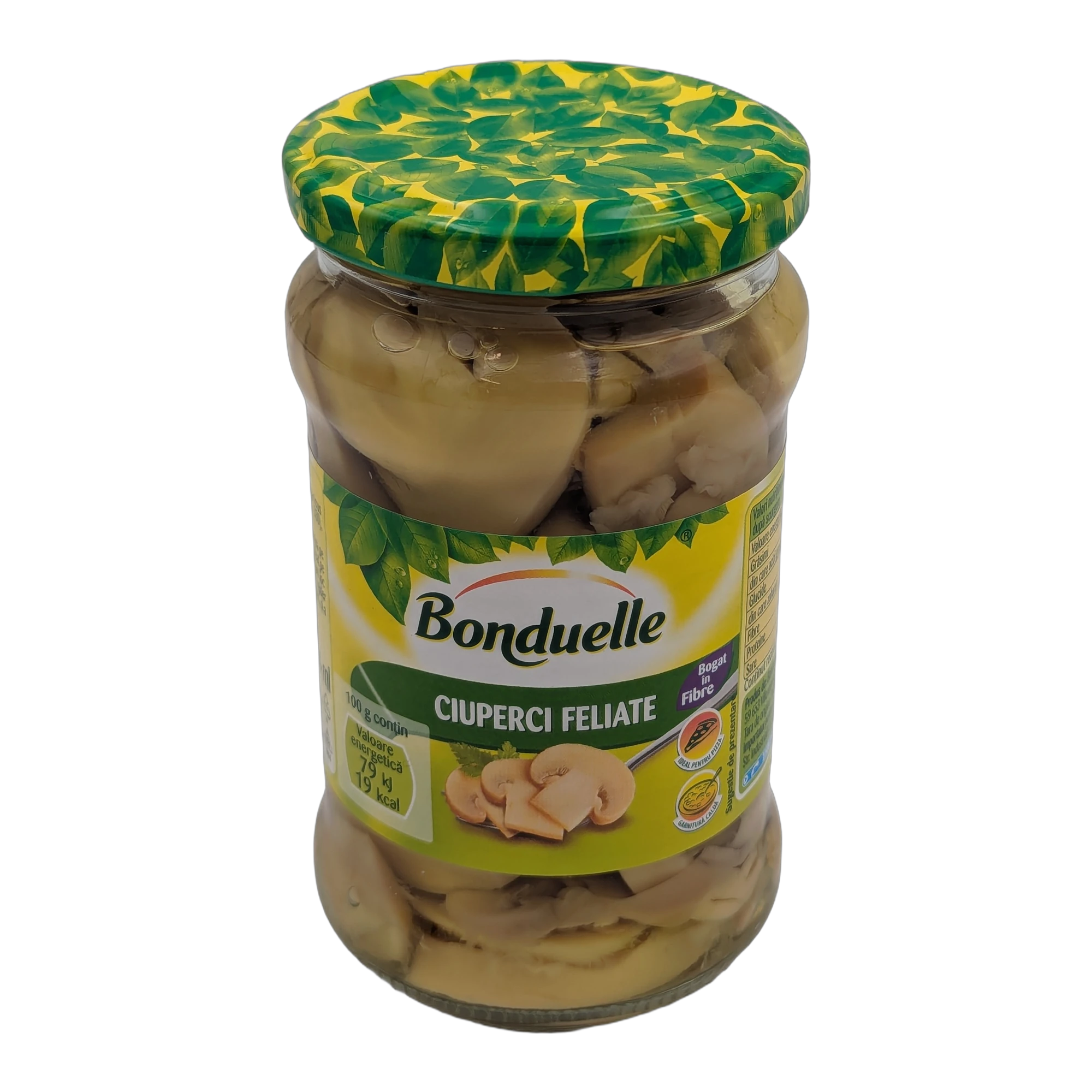 فطر مقطع بوندويل