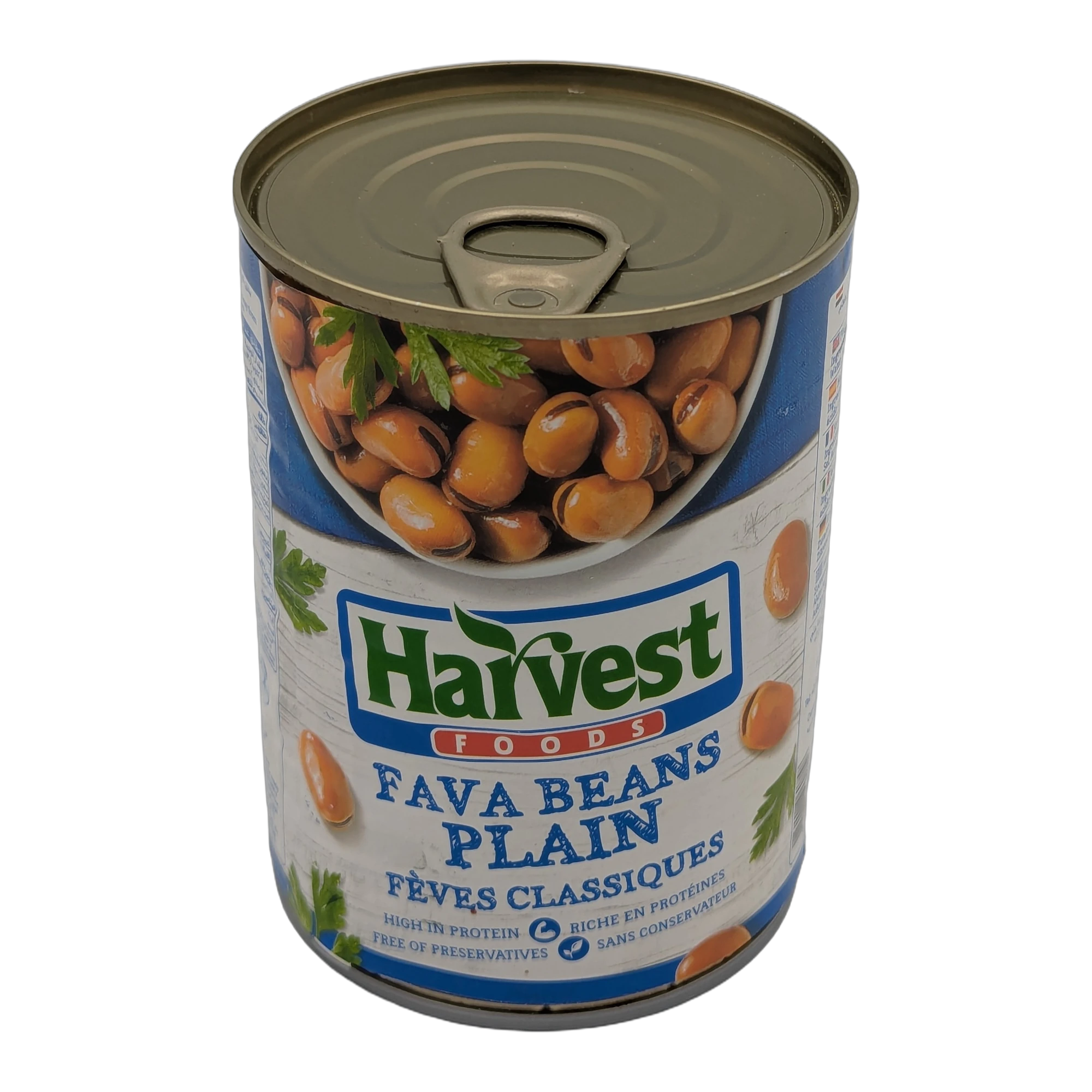 Plain Fava Beans
